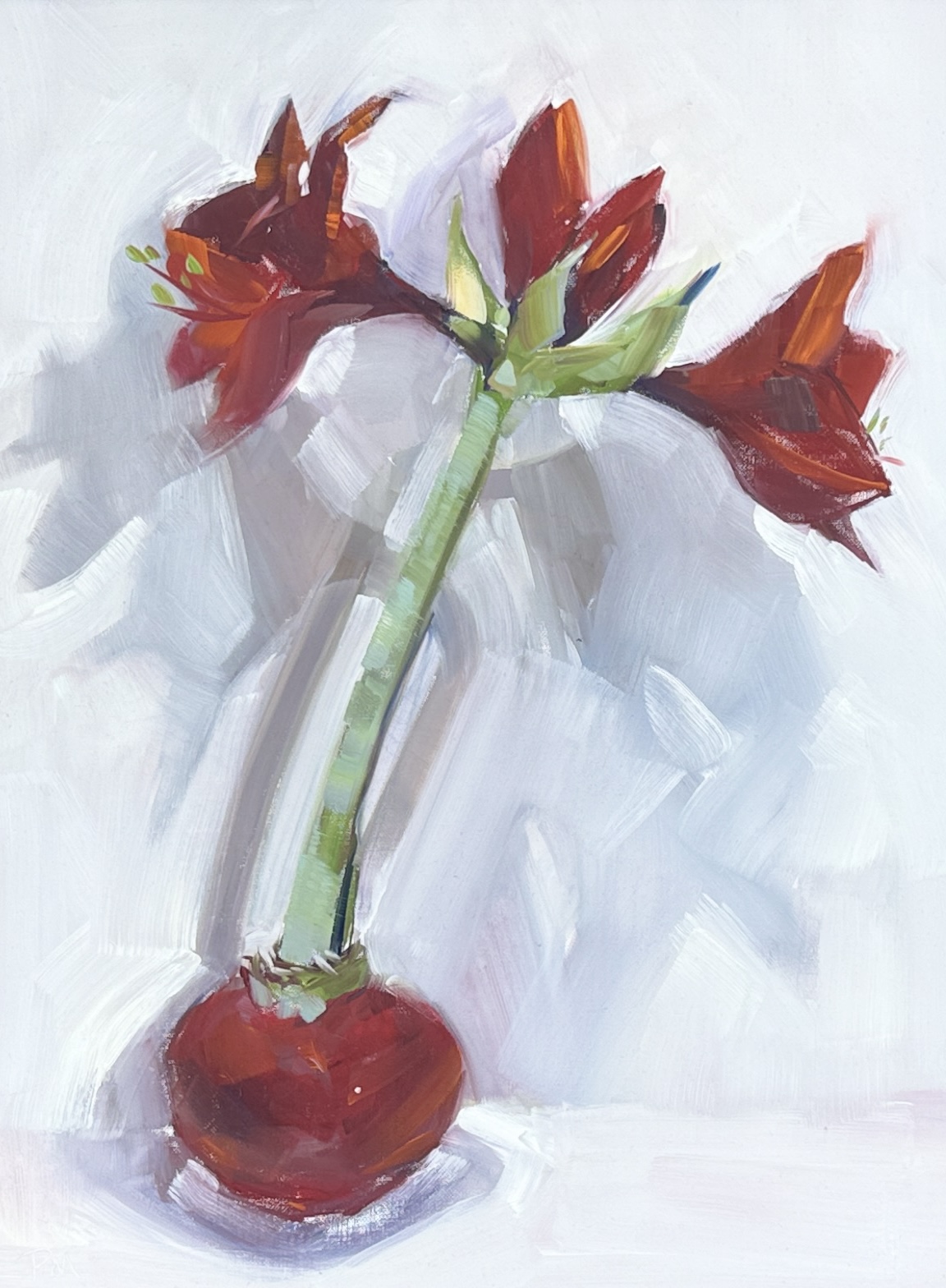 PATTI MCNUTT, "AMARYLLIS AND SHADOWS"