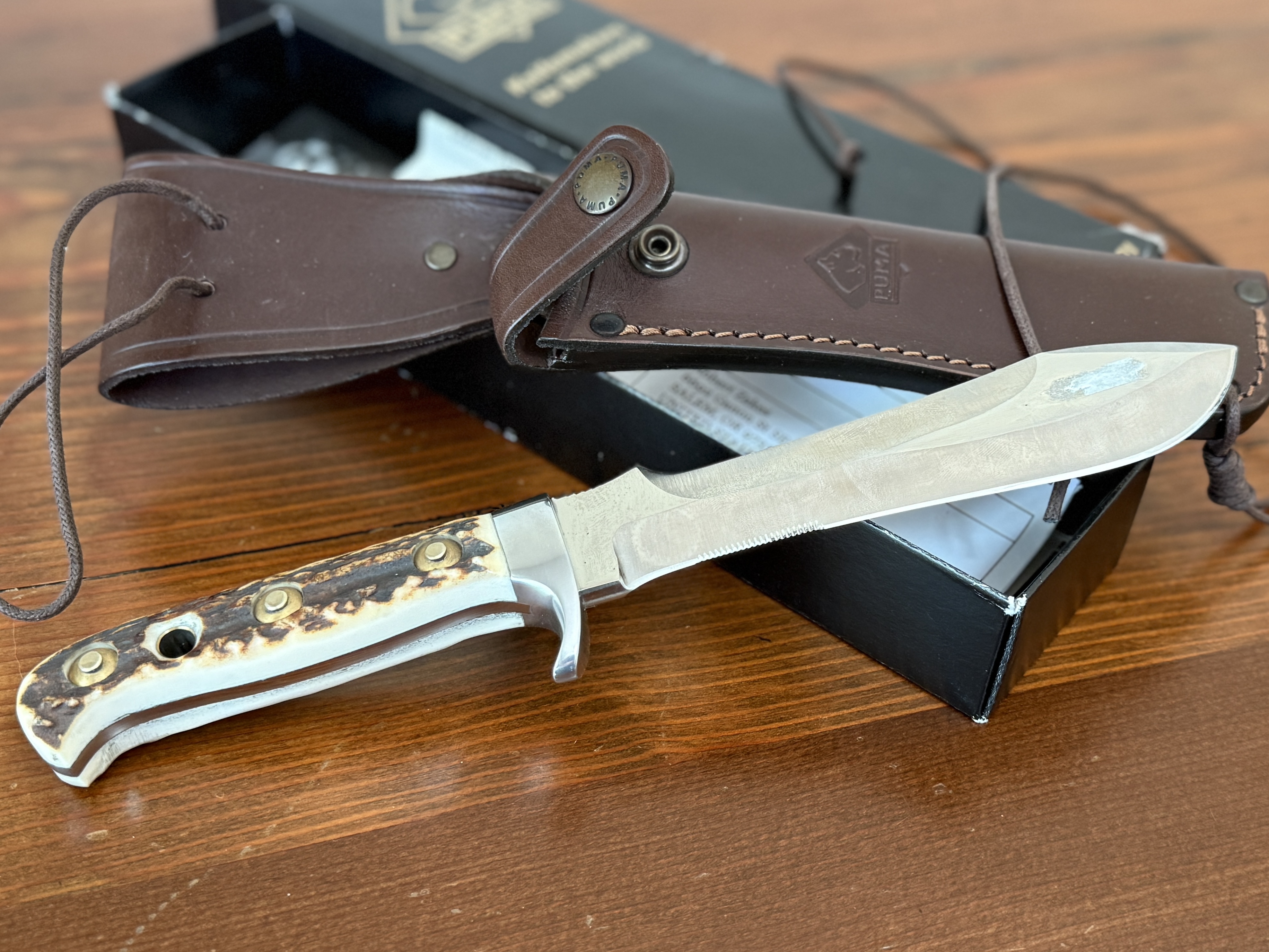 PUMA, WHITE HUNTER STAGHORN KNIFE