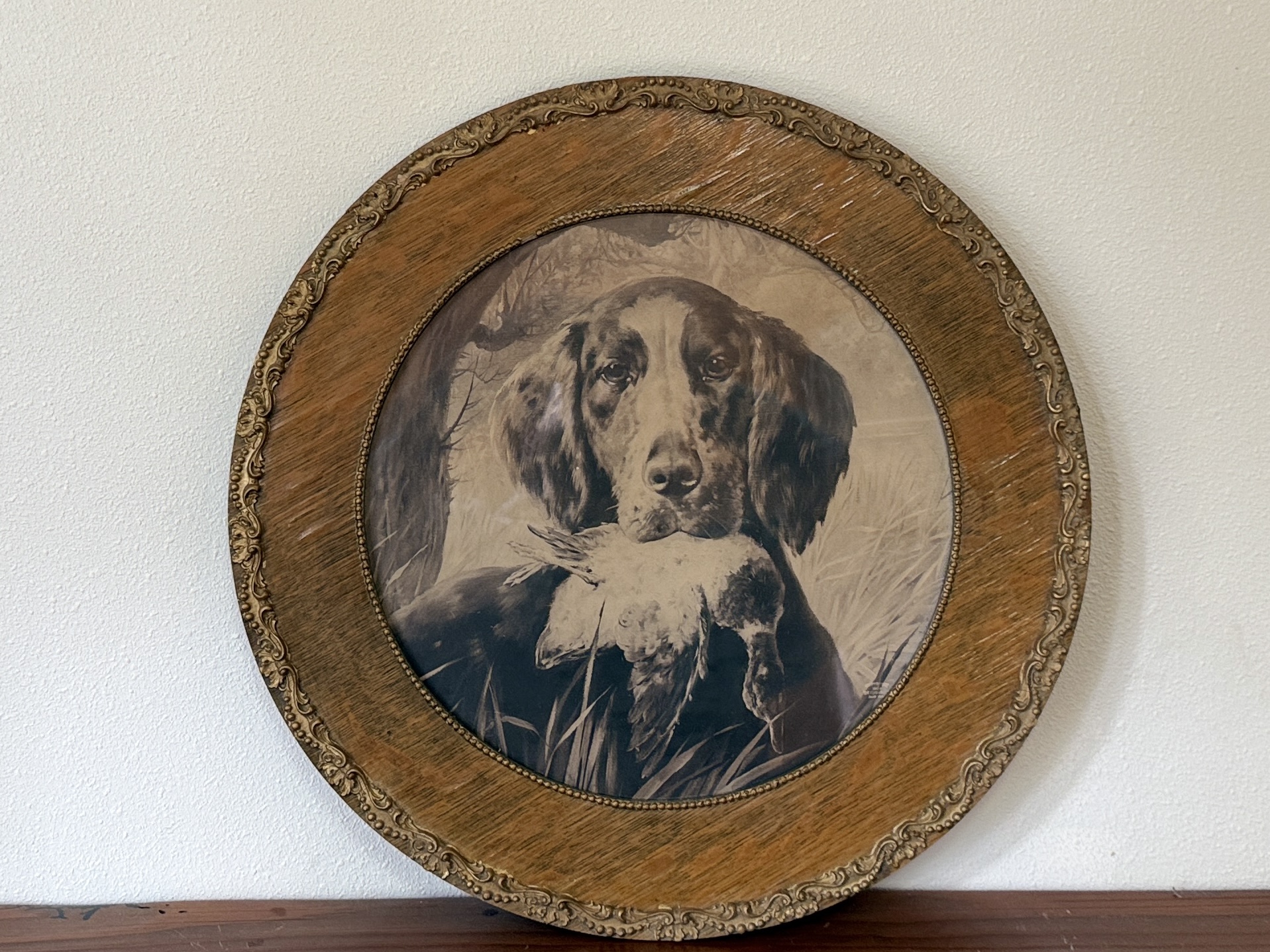 HUNTING DOG PRINT IN EARLY FRAME