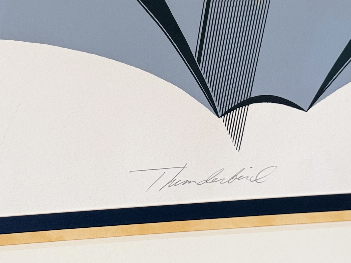 BARRY HEREM, "THUNDERBIRD"