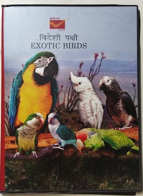 Exotic Birds Presentation Pack