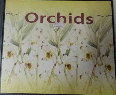 Orchids Presentation Pack