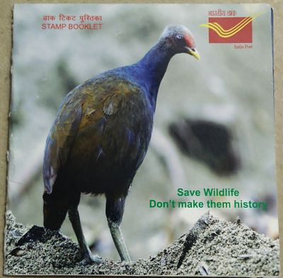 Endemic Species of Indian Biodiversity HotSpots Presentation Pack