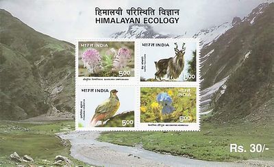 Miniature Sheet Complete Year Pack Of 1996-Ms-1 No'S