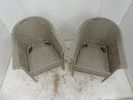 Pair of Modern L G Outdoor Palm Court Style ChairsImage - 1