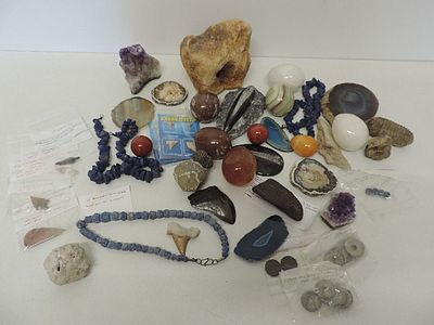 Collection of Fossels Including Mamoth Bone, Ancient Egyptian Lapis Lazuli Necklaces, Shark's 