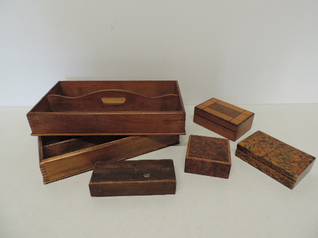 Lot 195