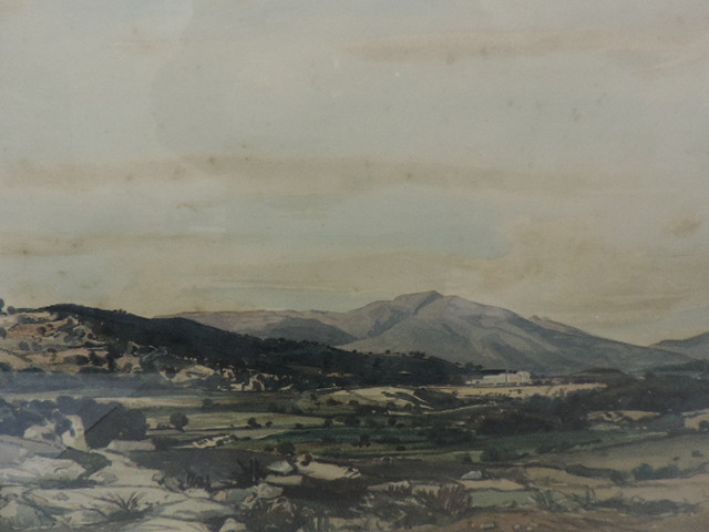 Lot 292