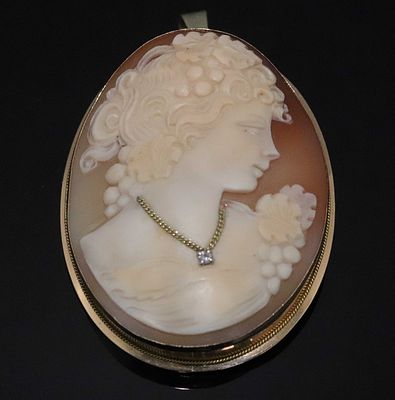 Brooch/pendant with shell cameo 14/18 carat. A pair of pendants and brooches featuring a carved 