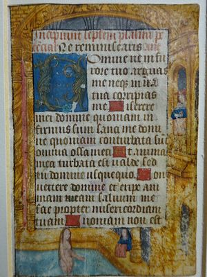 Parchment sheet, 17 lines. Parchment sheet. Seventeen handwritten Latin lines in brown ink. 