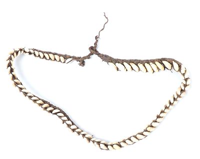 Papua New Guinea Cowrie Shell Belt. Well crafted rattan and cowrie shell belt or necklace from 