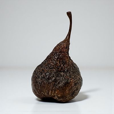 Laura Baring Gould Bronze Pear. The pears are cast in bronze using traditional bronze-casting 