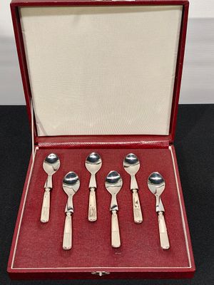 Estojo com 6 colheres caninha com cabos em prata