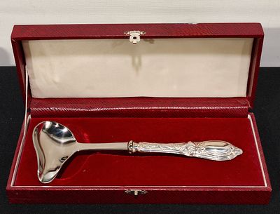 Estojo com colher de molhos com cabo em prata