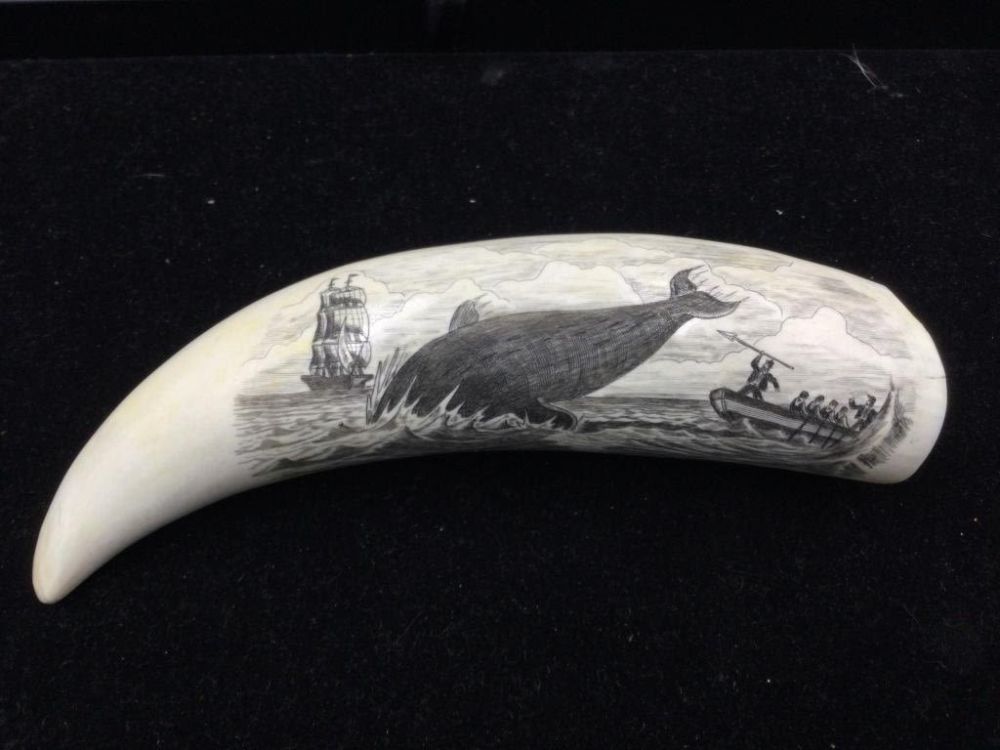Lot 39: Scrimshaw Whale Tooth