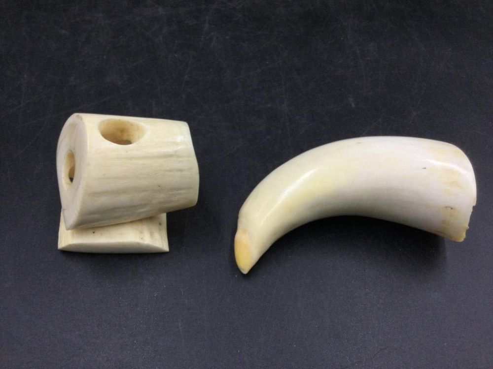 Lot 197: Whale Tooth and More