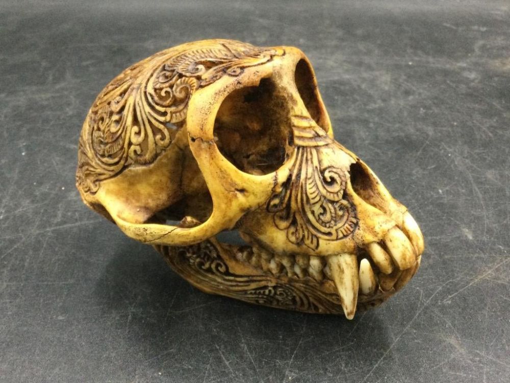Lot 216: Carved Monkey Skull
