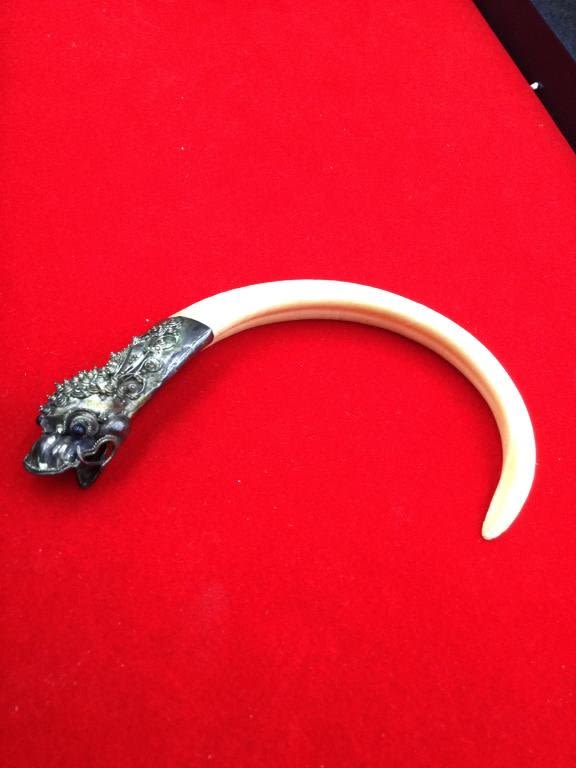 Lot 8: Pig Tusk & 900 Silver Dragon Pendant Cap