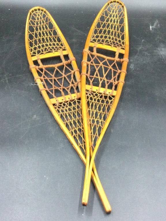 Lot 40: Snowshoes