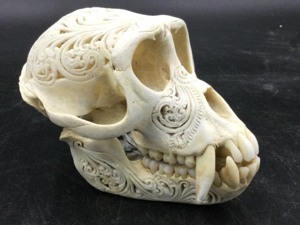 Lot 137: Carved Monkey Skull
