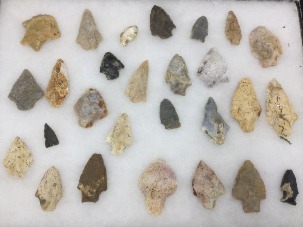 Lot 231: Arrowheads