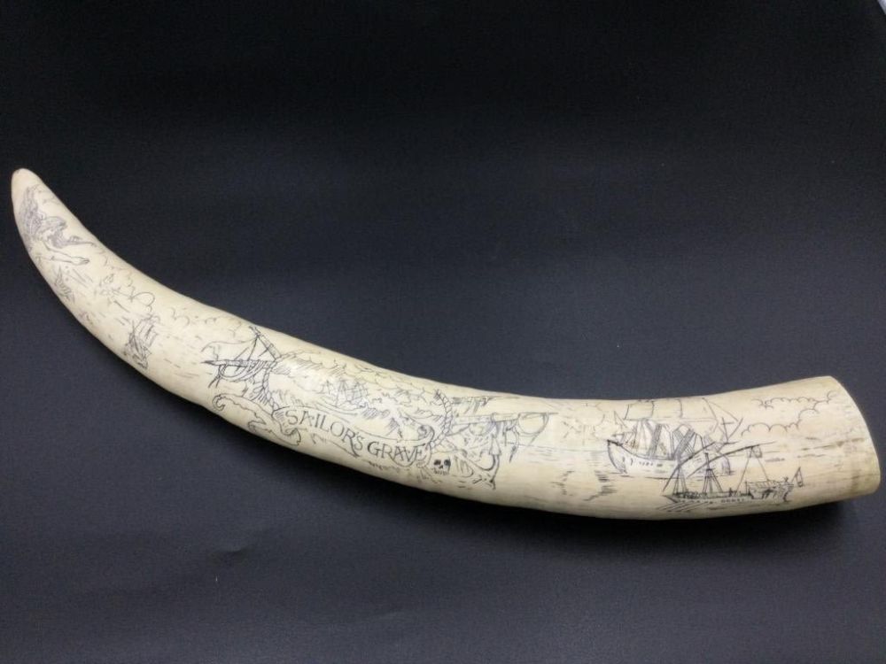 Lot 13: Scrimshaw  Tusk