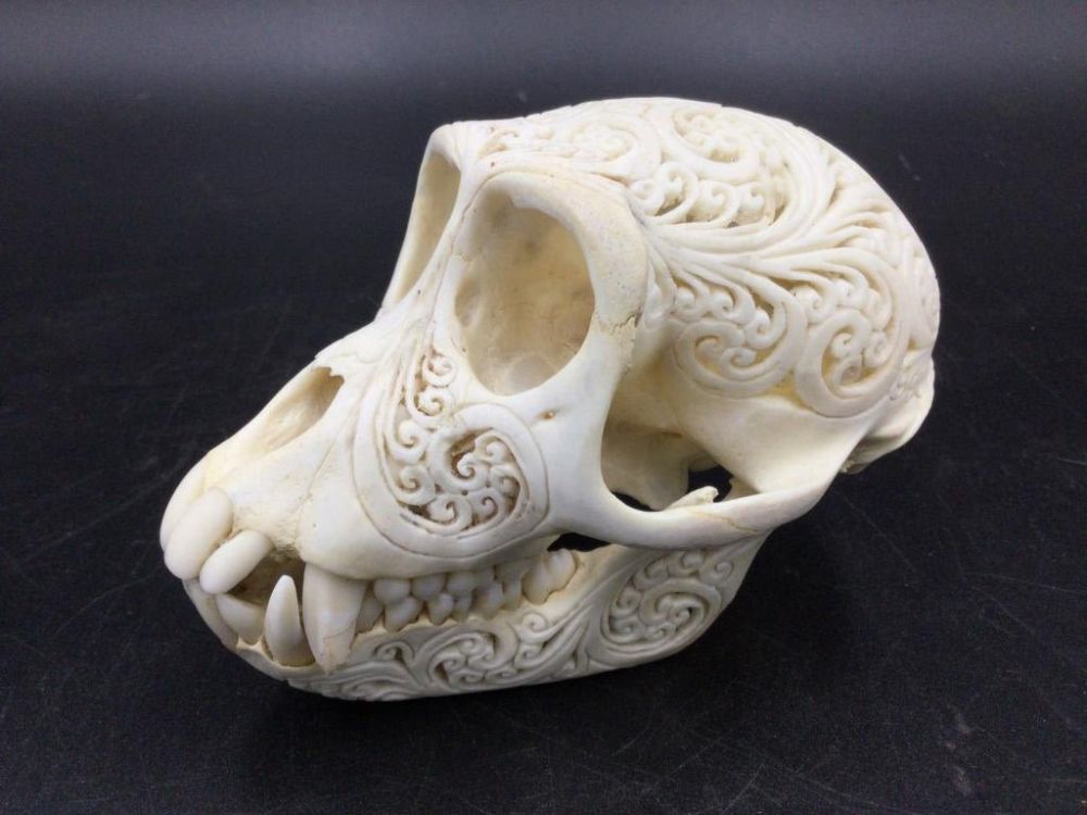 Lot 172: Carved Moneky Skull