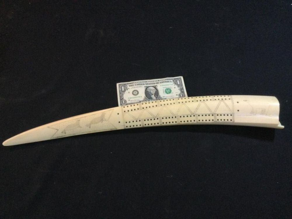 Lot 252: Alaskan Walrus Cribbage Board