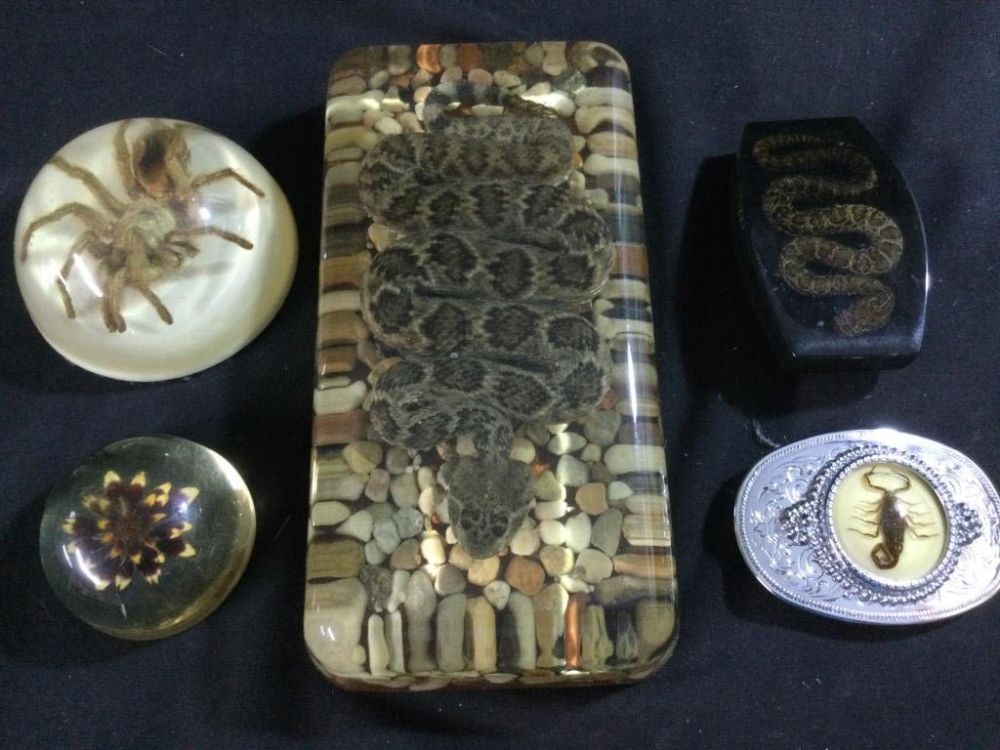 Lot 99: Mid Century in Lucite