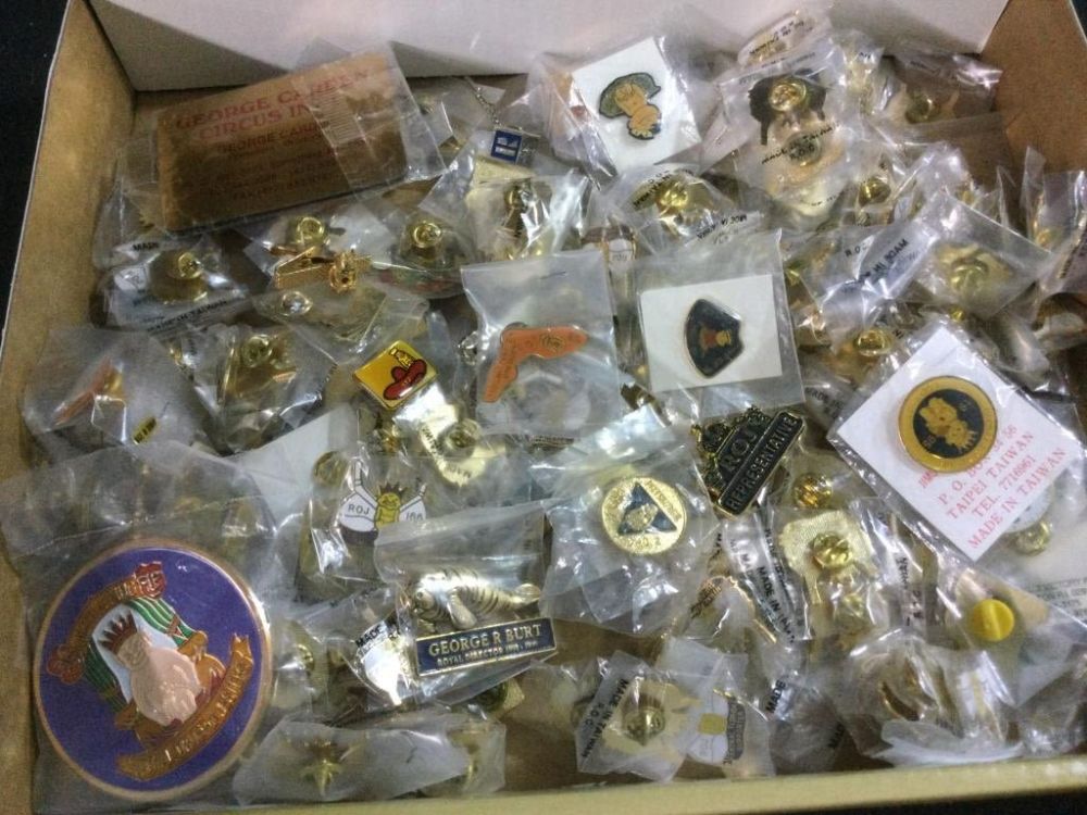 Lot 137: Vintage Shriner Pins