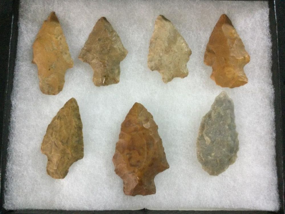 Lot 37: Arrowheads