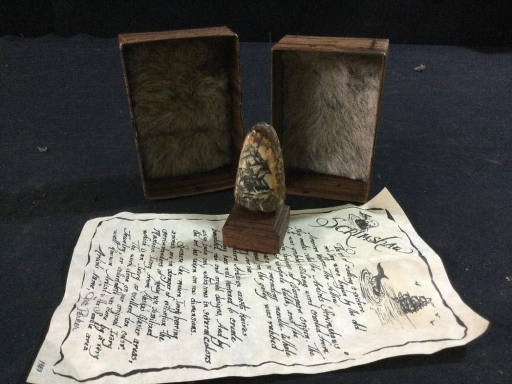 Lot 7: Vintage Fossilized Walrus
