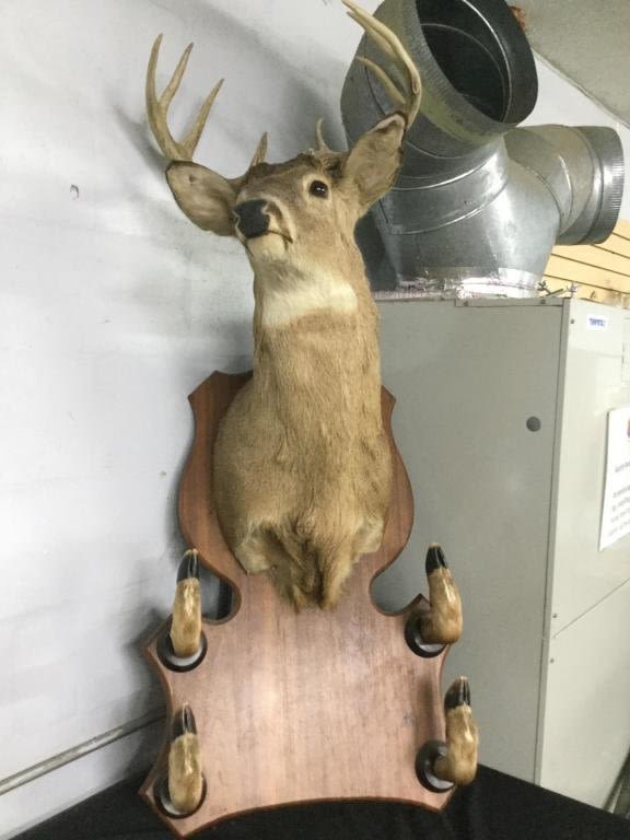Lot 219: Deer Mount