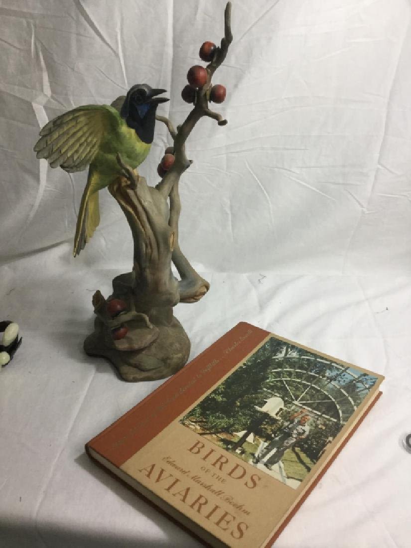 Lot 77: Boehm Bird Figurines
