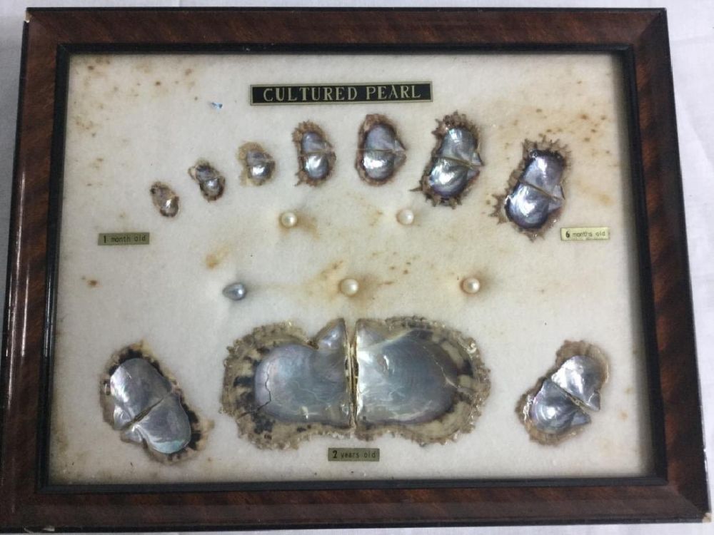 Lot 163: Pearls