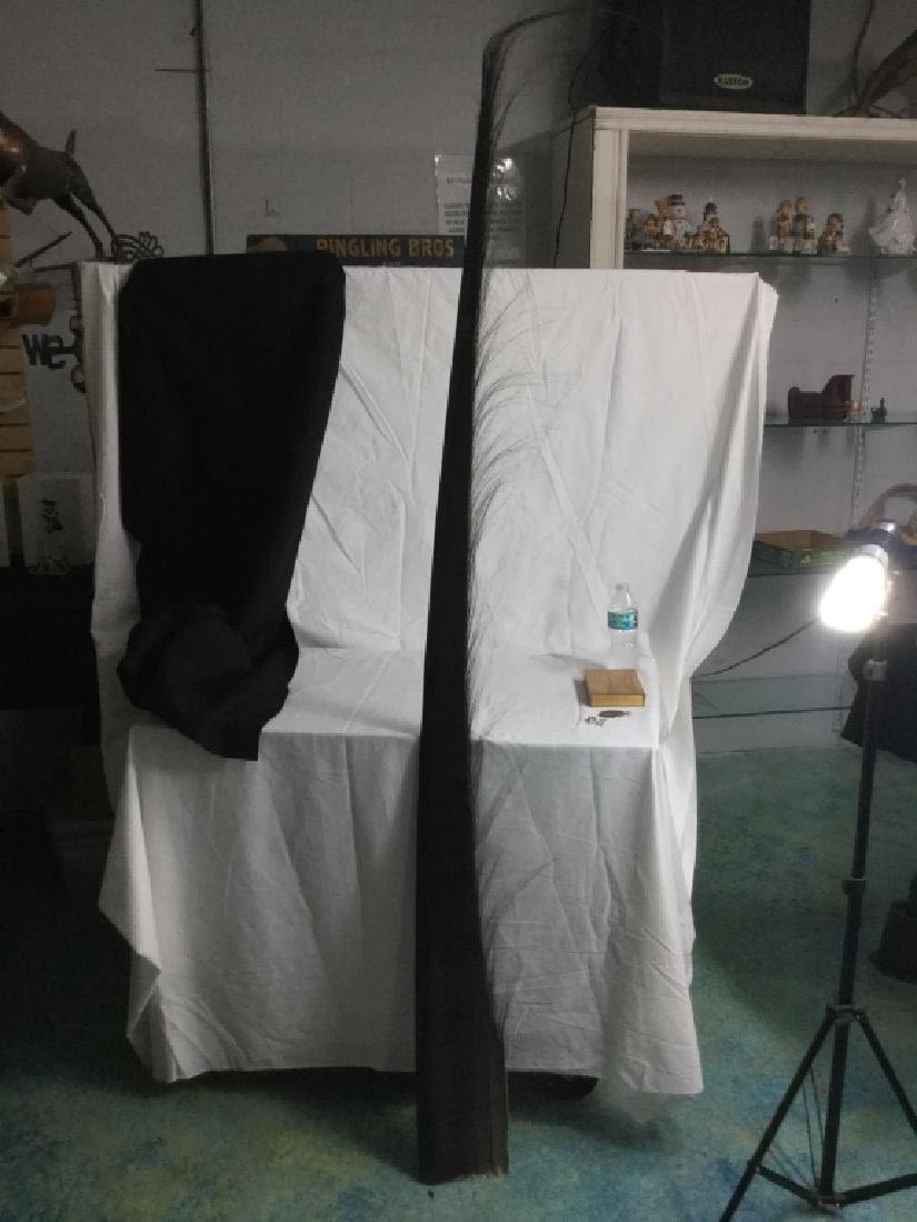Lot 173: Whale Baleen