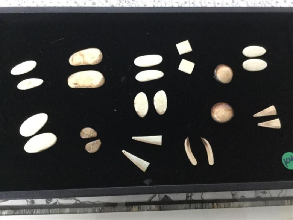 Lot 99: Fossilized Ivory
