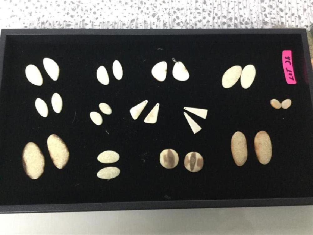 Lot 100: Fossilized Ivory