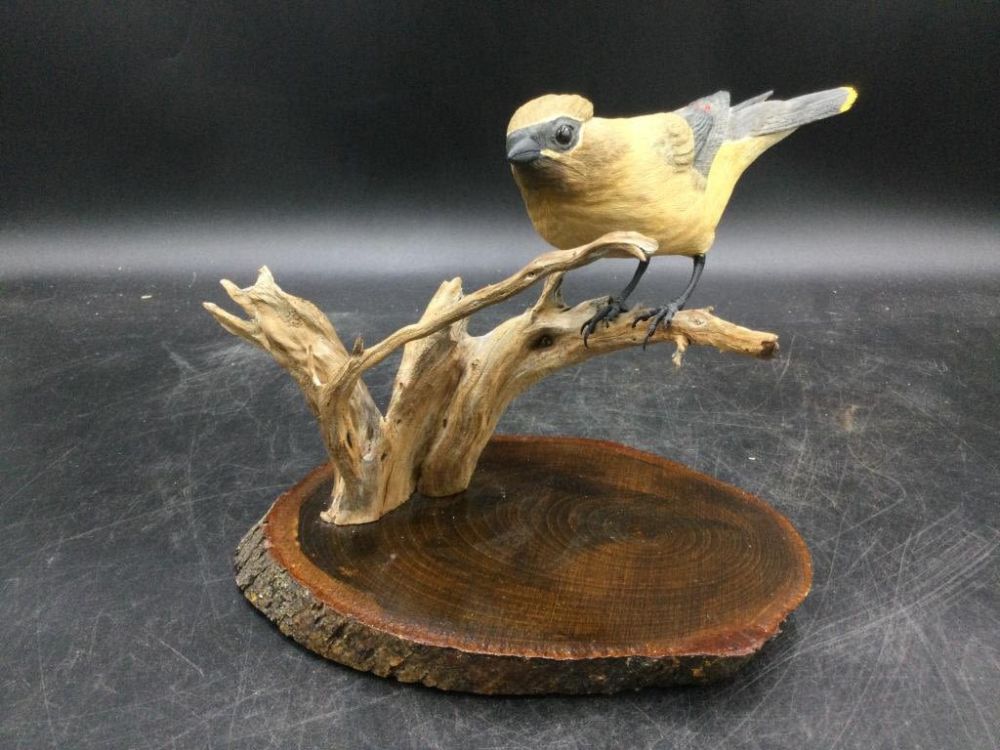 Lot 214: Hand Carved Cedar Waxwing Bird