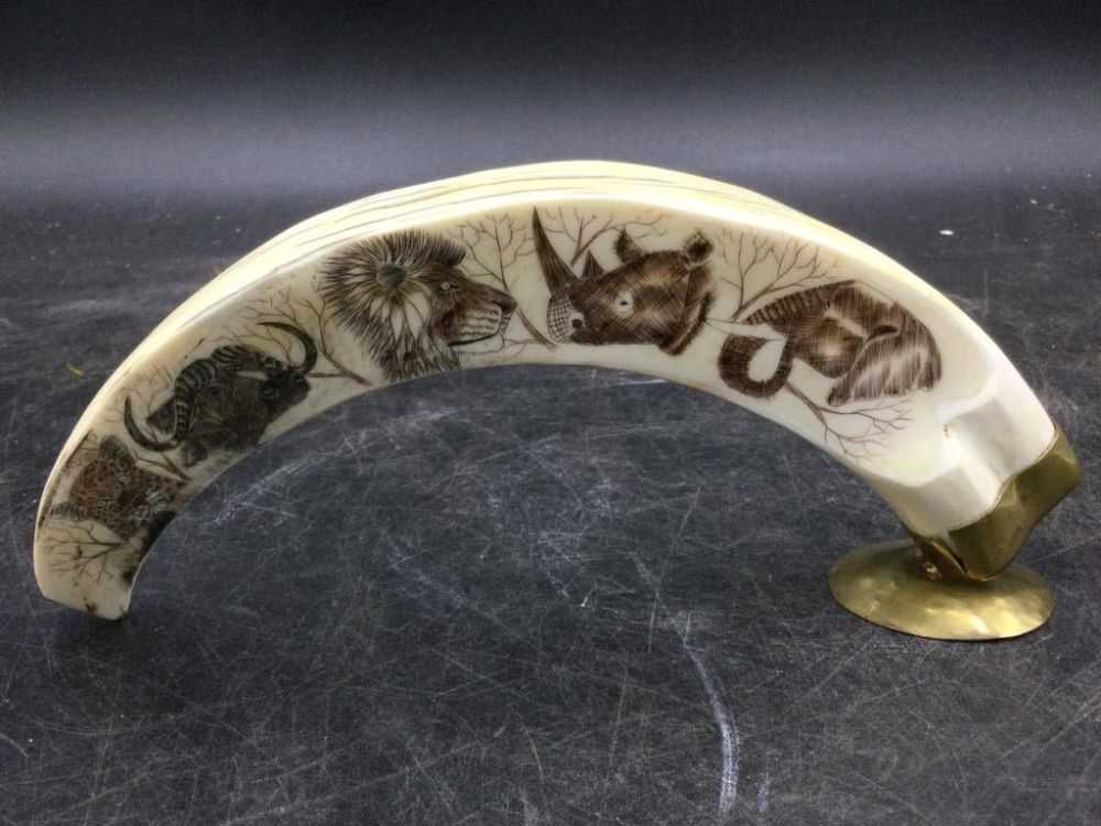 Lot 263: Scrimshaw War Hog Tusk
