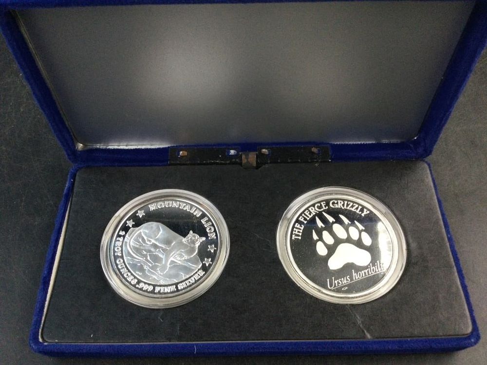 Lot 176: Silver Coins 2 Troy Ounces .999