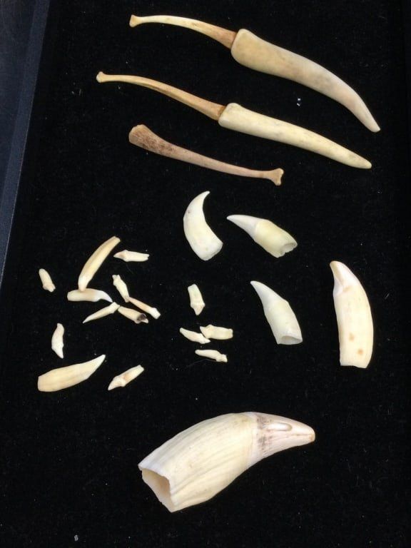 Lot 257: Seal Teeth and Phallus