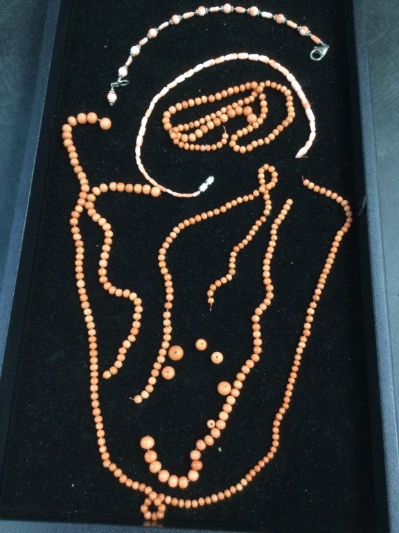 Lot 268: Angle Skin Coral