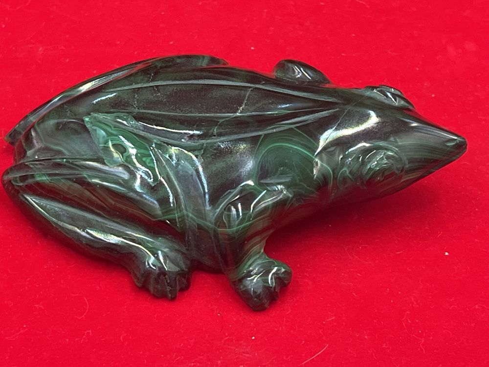Lot 244: Malachite Frog