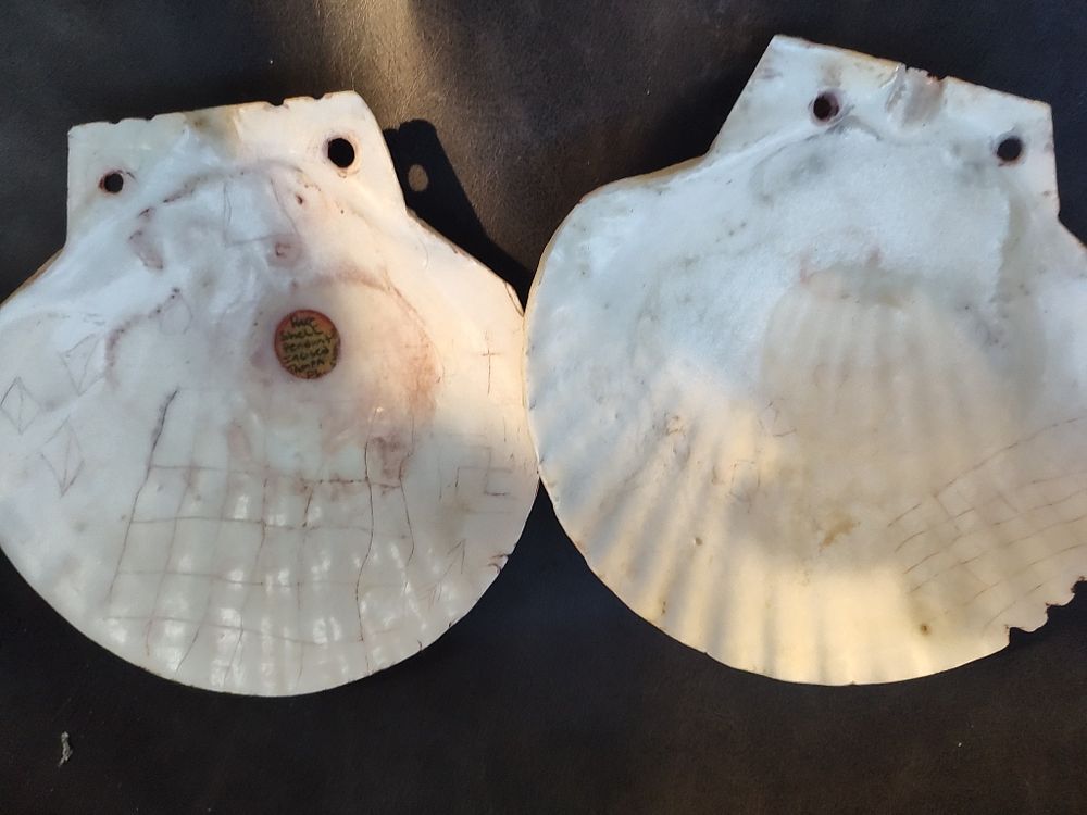 Lot 254: Florida Early Shell Pendants