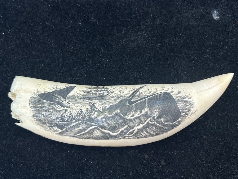 Lot 257: Scrimshaw Whale Tooth
