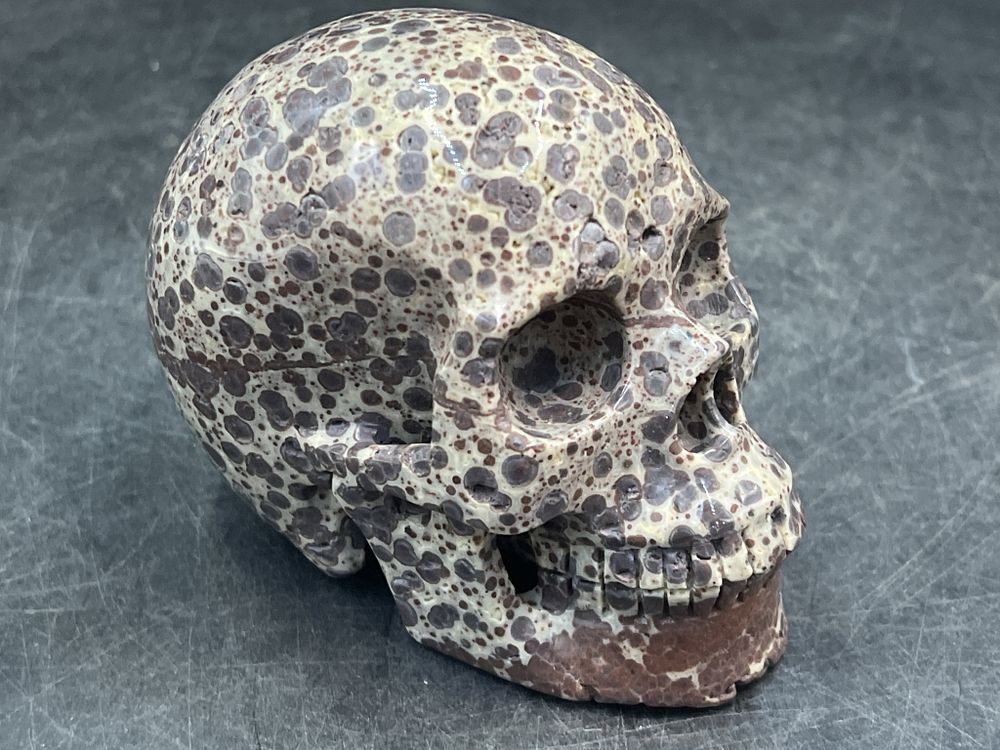 Lot 263: Carved 5" Asterior Jasper Skull