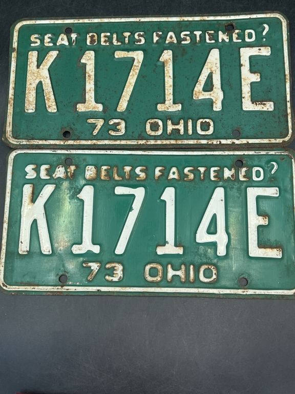 Lot 269: 1973 Ohio License Plates