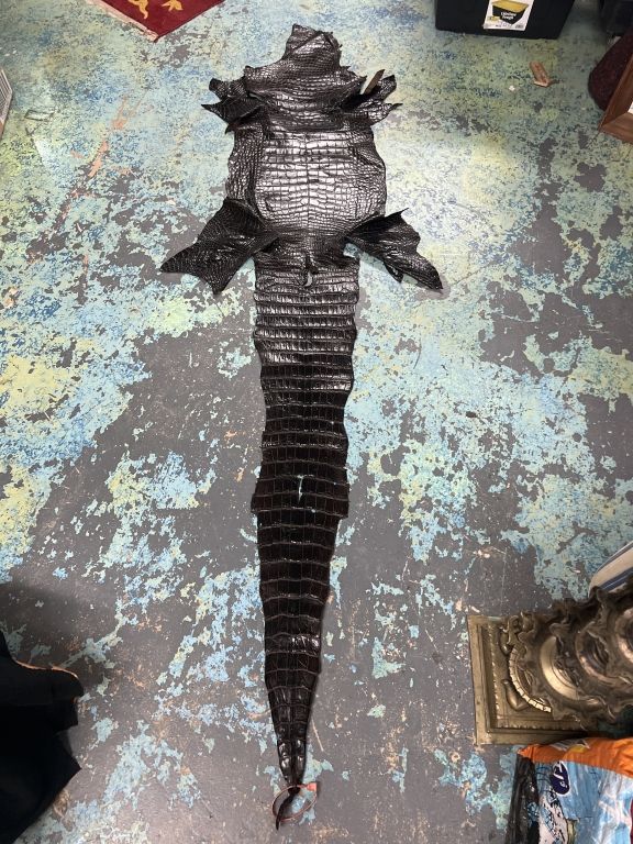 Lot 255: Alligator Skin