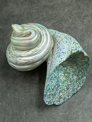 Michael Cohn Art Glass Iridescent Swirl Seashell. Singed paperweight 1999. Measures 4.5" x 3.5". 